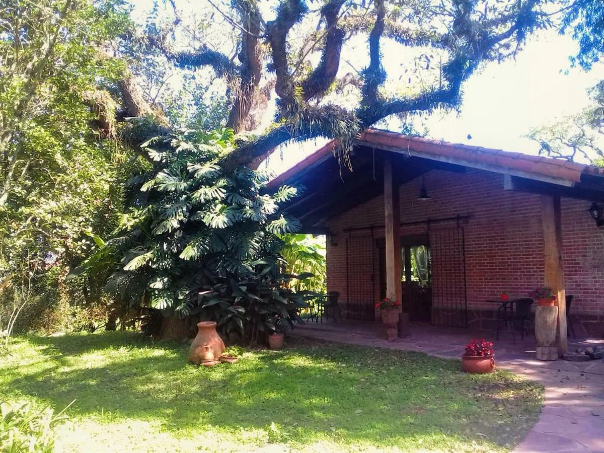 Terrazas Del Coya Hostel San Salvador de Jujuy Kültér fotó